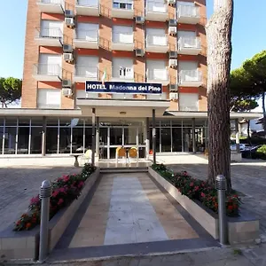 Madonna Del Pino 2*, Cervia Italie